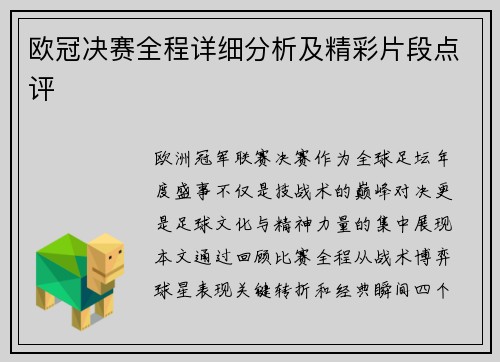 欧冠决赛全程详细分析及精彩片段点评